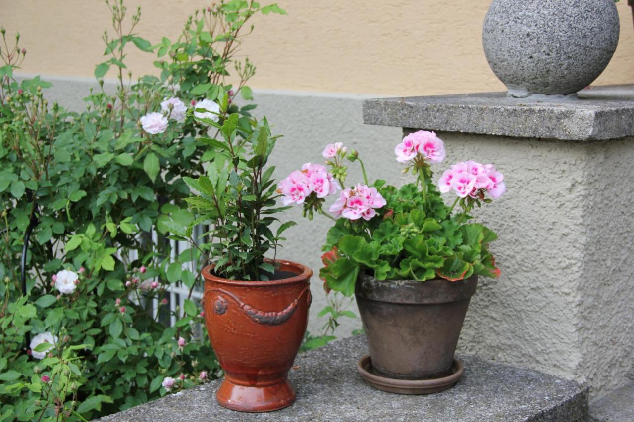 Villa Zollhaus Bed&Breakfast Turkheim Exterior foto